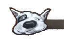 Gürtel